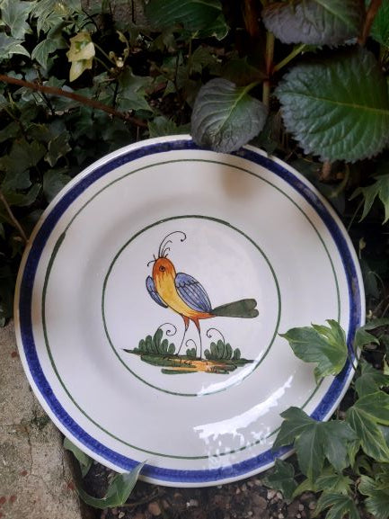 Which collection can be rapresentative on World Earth Day?