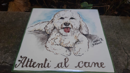 Man’s best friend : how to celebrate it?