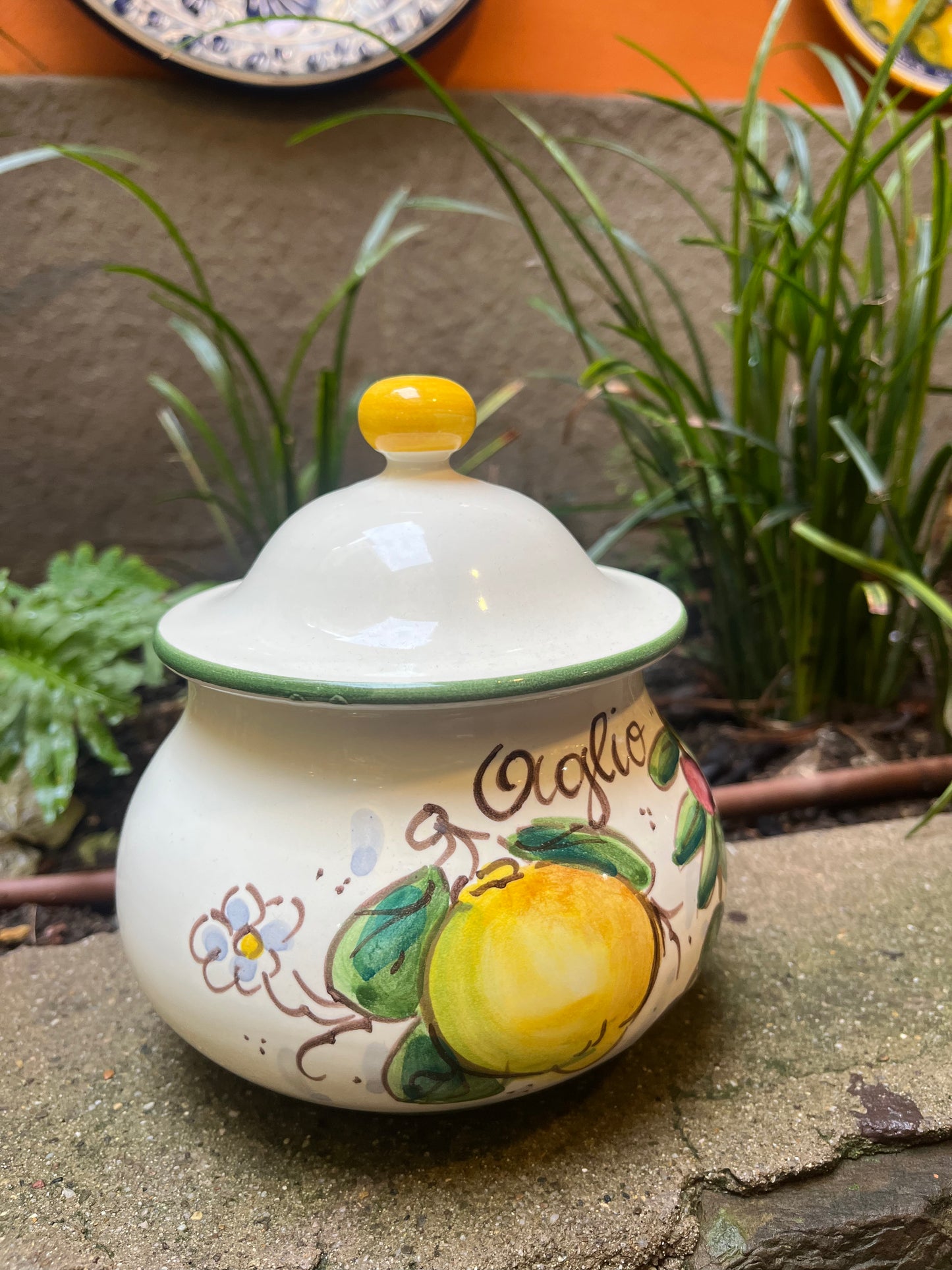 ceramic garlic container