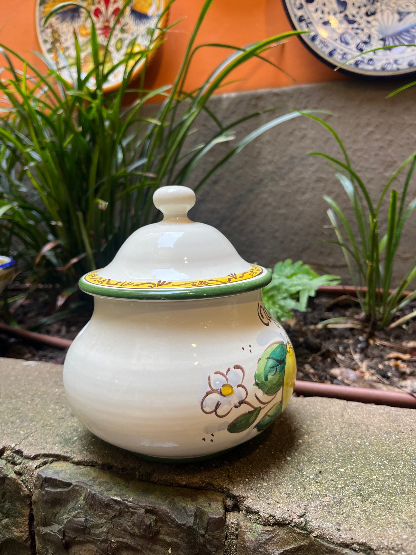 ceramic garlic container