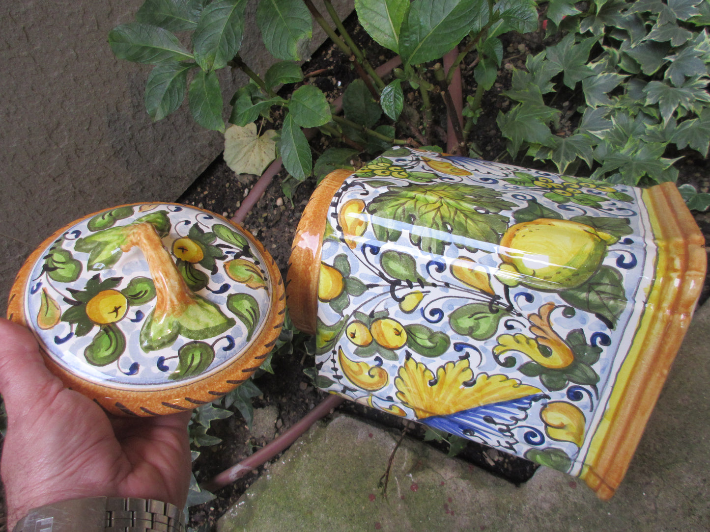 grande barattolo di biscotti in ceramica