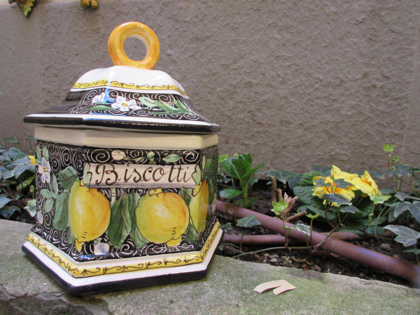 barattolo di biscotti in ceramica