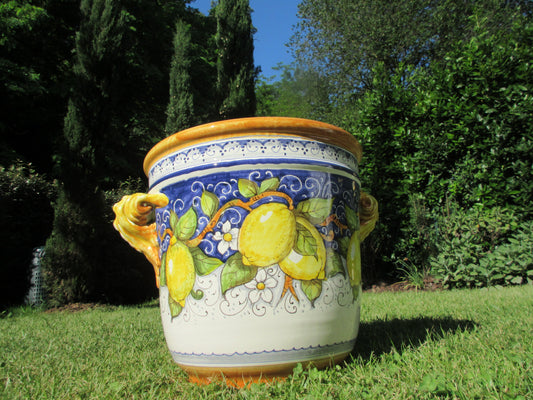 vasi in ceramica per piante da interno