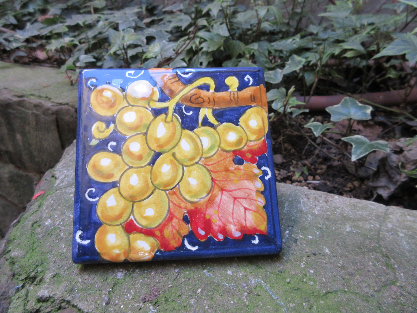 Piastrella in ceramica