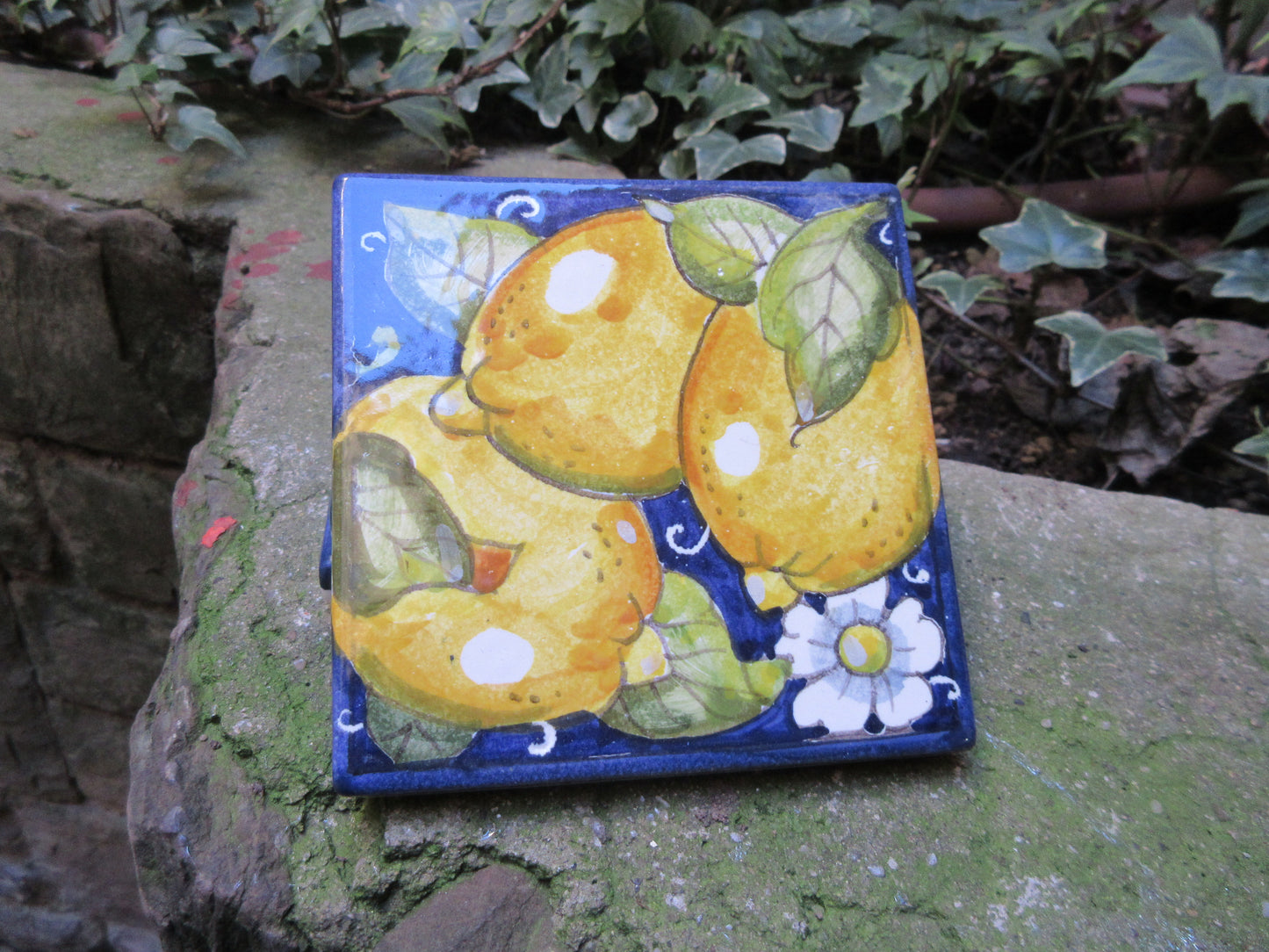 Piastrella in ceramica