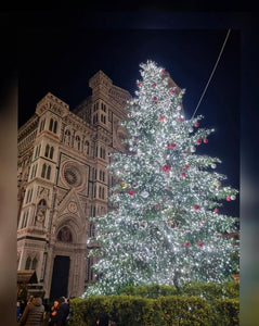 The Christmas tree in Italy and in the world!