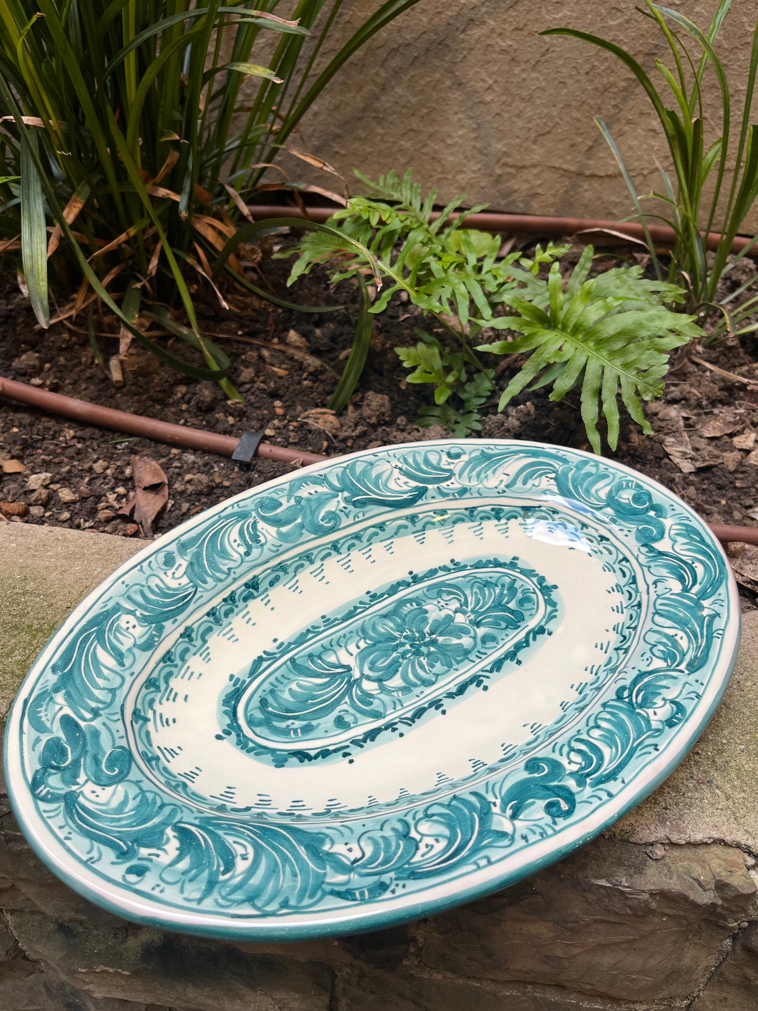 Acanthus ramina green leaf