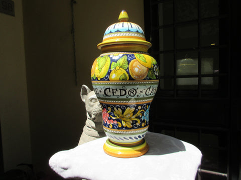 ceramic albarello vase